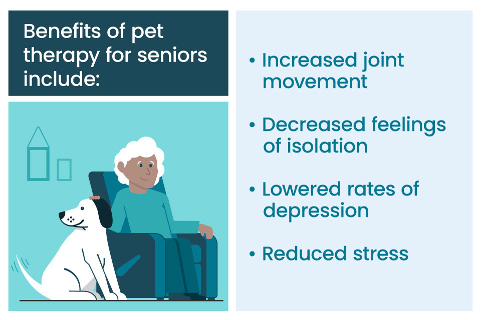 一个图形详细一些宠物疗法的好处,包括减少压力和增加关节运动